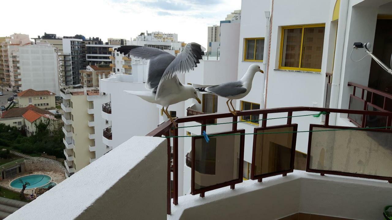 Rocha Apartment بورتيماو المظهر الخارجي الصورة